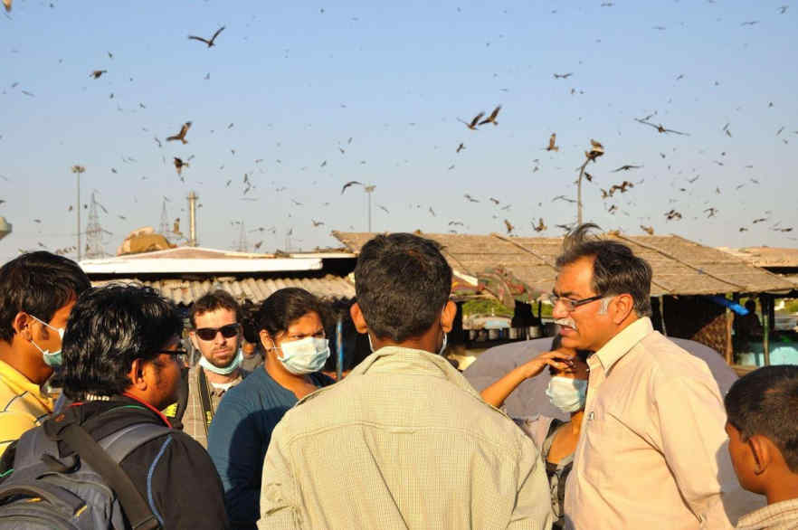 Black Kite Project