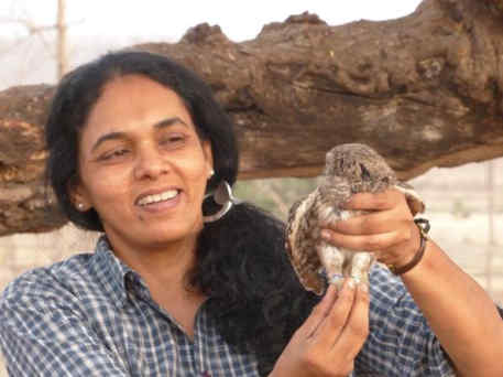 The Science of Owls