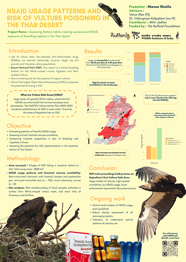 Grey-Headed-Fish-Eagle